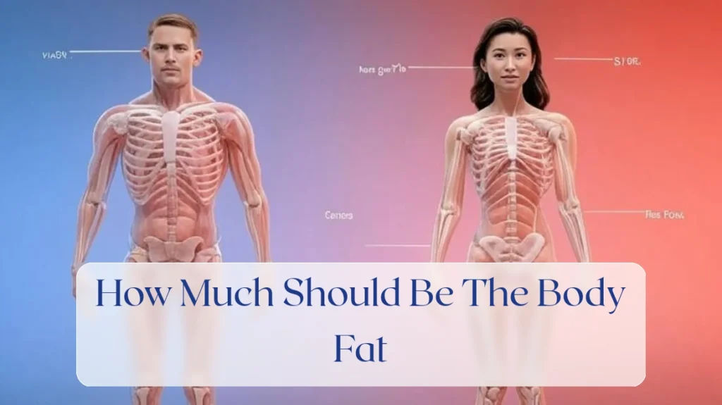 How Much Should Be The Body Fat - Body composition Featured Image