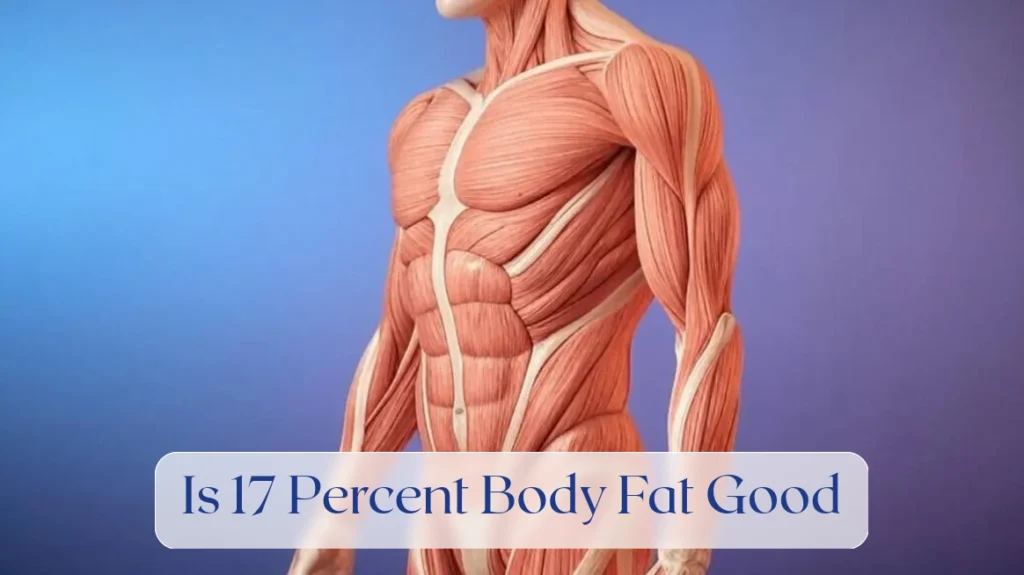 Is 17 Percent Body Fat Good - Body composition Featured Image